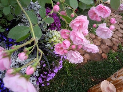 今年の国際バラとガーデニングショーで 心ひかれたバラたち 小さな庭の小さな幸せ チャッピーのバラ庭より