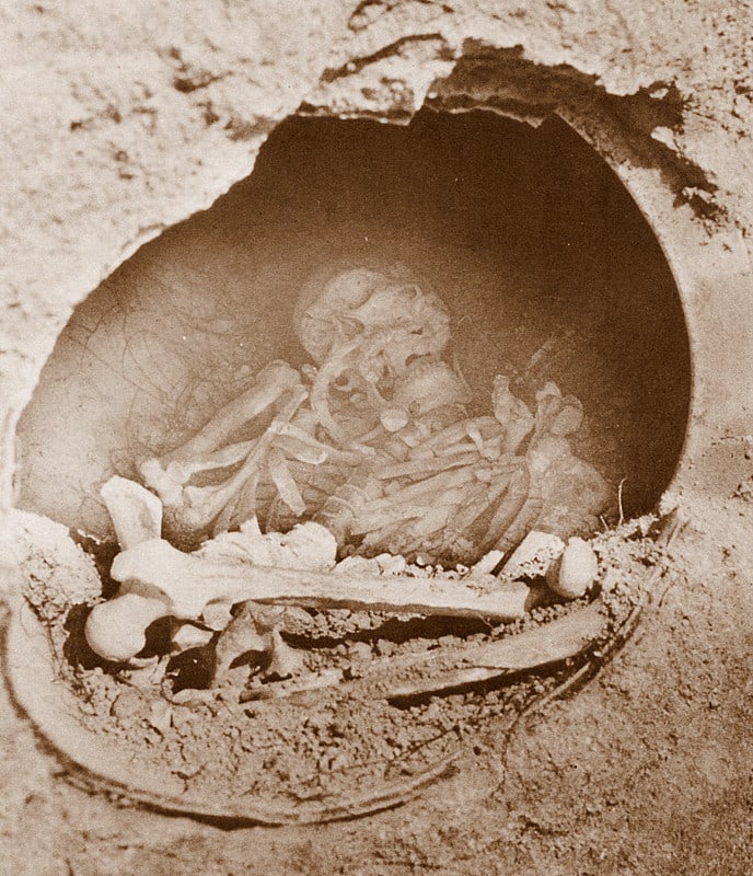 日本の人骨発見史８ スダレ遺跡 弥生時代 石剣が刺さった人骨 人類学のススメ