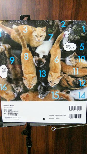 群れ猫カレンダー Fwf 共 結 来 縁 あるヴァイオリン ヴィオラ講師の戯言