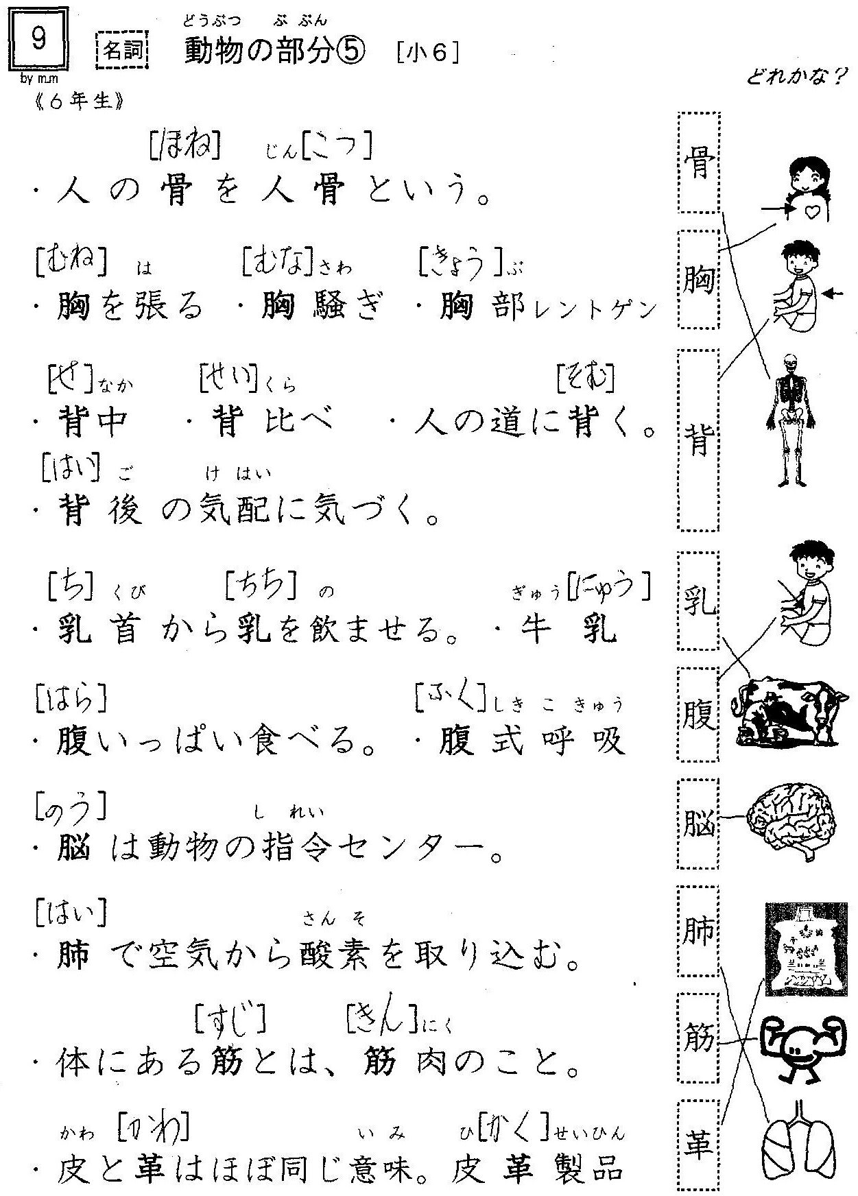 小学校漢字の読み 10 植物の部分 ３ ６年 教育漢字では植物関係は意外に少ないのです やおよろずの神々の棲む国で