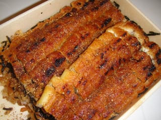 うなぎ なか勝 尾道のランチ となりの昼ごはん うなぎ なか勝 尾道のランチ となりの昼ごはん
