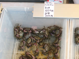 カニさん テディベア作家のちいさな物語