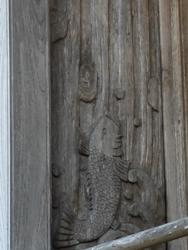 水戸の鯉(2) - ぶらっと 水戸