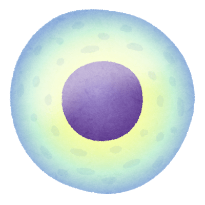 IPS細胞を使った研究