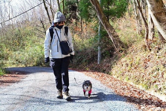 犬と登山 ﾄﾚｯｷﾝｸﾞ ﾊｲｷﾝｸﾞ のブログ記事一覧 Crea Cafe