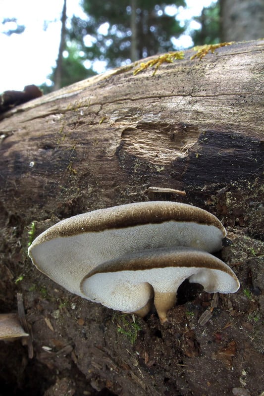 Dsc_0088 Dsc_0088