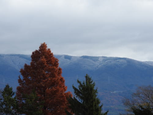 白くなった東山