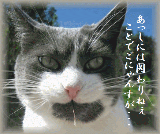 今年もあと少しにゃんすね 猫のフォーちゃんとボンちゃん 今年もあと少しにゃんすね 猫のフォーちゃんとボンちゃん