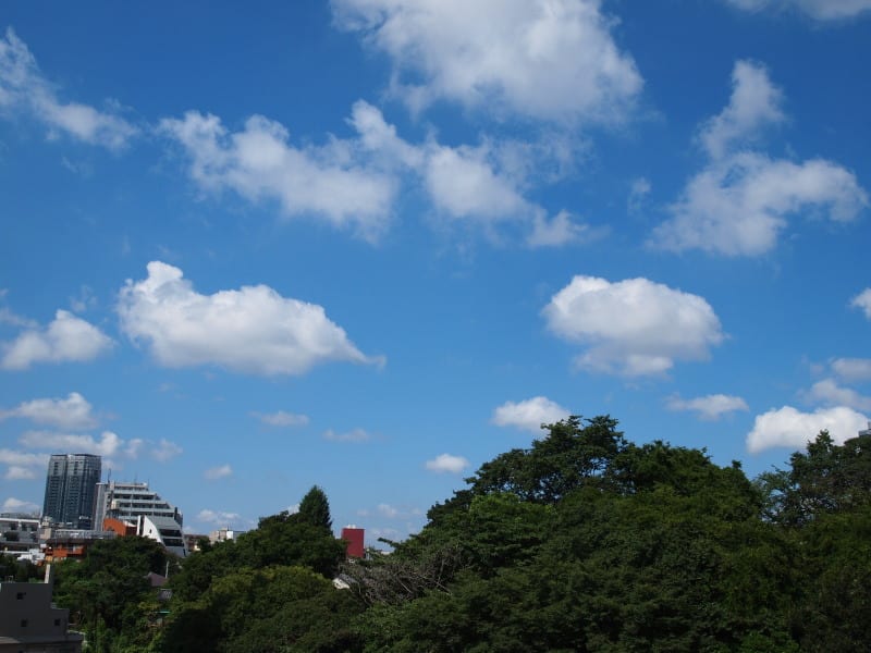 P8271523re