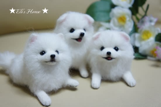 今度は日本スピッツの仔犬ちゃん Eli S House ふわふわのぬくもり 今度は日本スピッツの仔犬ちゃん Eli S House ふわふわのぬくもり