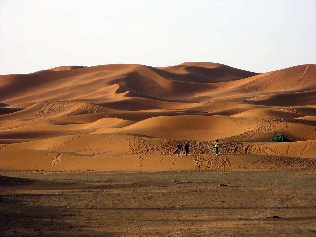 モロッコの旅（１）メルズーガ大砂丘の画像