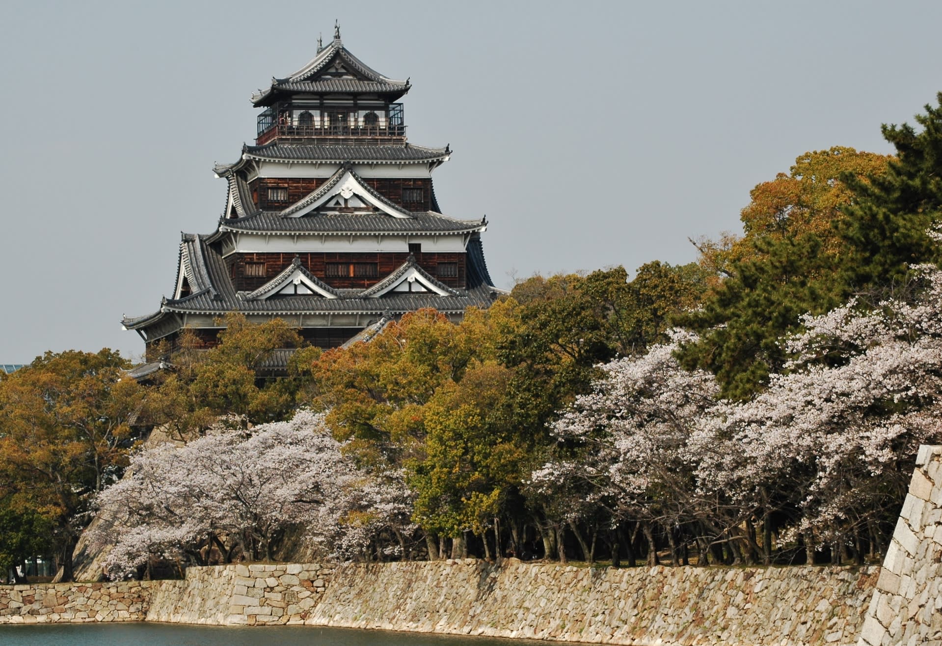 過去の写真 広島近辺の桜風景を 広島市 綺麗な写真 日々出来事