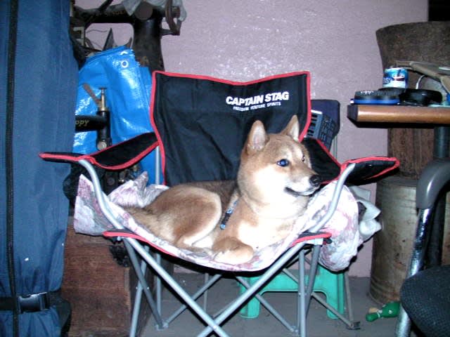 20131203_211334 20131203_211334