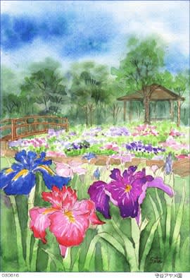 守谷アヤメ園の風景 おさんぽスケッチ にじいろアトリエ 水彩 色鉛筆イラスト スケッチ 守谷アヤメ園の風景 おさんぽスケッチ にじいろアトリエ 水彩 色鉛筆イラスト スケッチ
