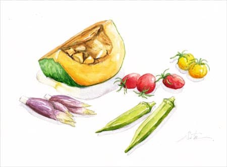 カボチャと夏野菜 おさんぽスケッチ にじいろアトリエ 水彩 色鉛筆イラスト スケッチ