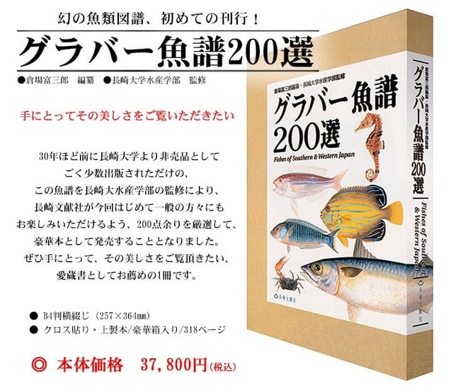 NISSUI 魚譜80選シール