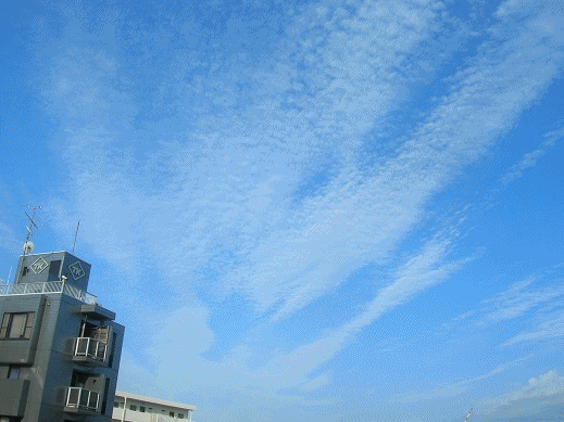 今朝の空 地震雲の様だけど 道草日記 心の思いと 花たちへ 今朝の空 地震雲の様だけど 道草日記 心の思いと 花たちへ