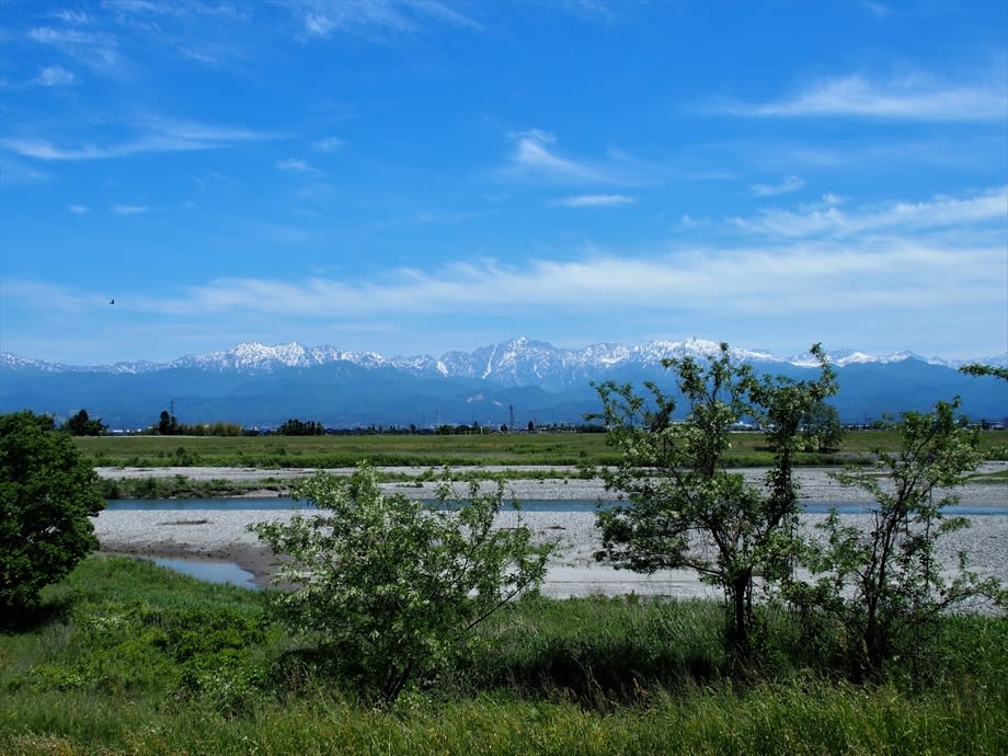 立山日和。