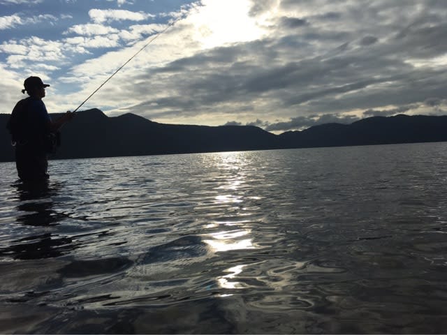 8 15 16支笏湖キャンプ Nature Fishing 自然を釣る