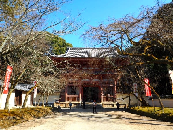 醍醐寺 仁王門まで V V 京都市伏見区醍醐東大路町 水早 Mizuha 神社と写真と一人旅 醍醐寺 仁王門まで V V 京都市伏見区醍醐東大路町 水早 Mizuha 神社と写真と一人旅