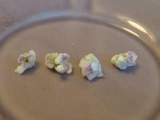 すみれの花の砂糖づけ ｍｙｒｒｈ ｆｒａｎｋｉｎｃｅｎｓｅ