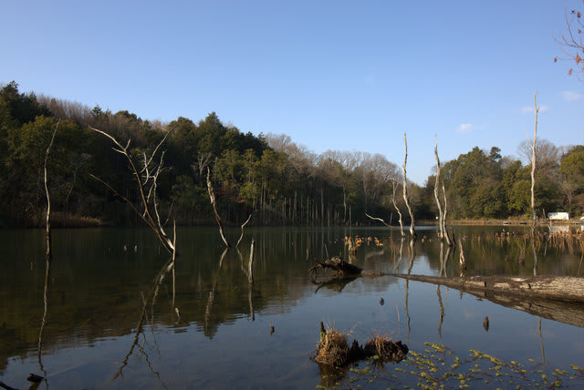 102A7501.jpg