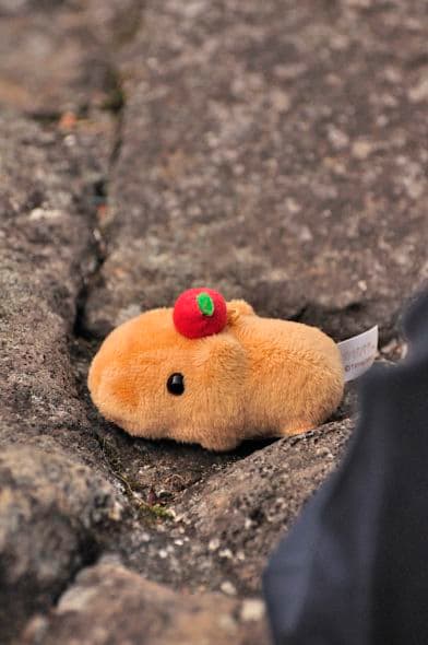 おやつタイムなカピバラさん 伊豆シャボテン公園 Animaltown アニマルタウン カピバラさんの素顔