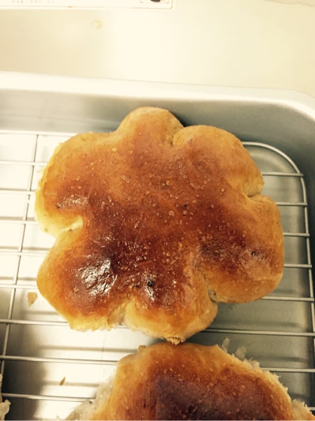 オーブンレンジでくるみパン 手作りパンとたれ耳うさぎのブログ