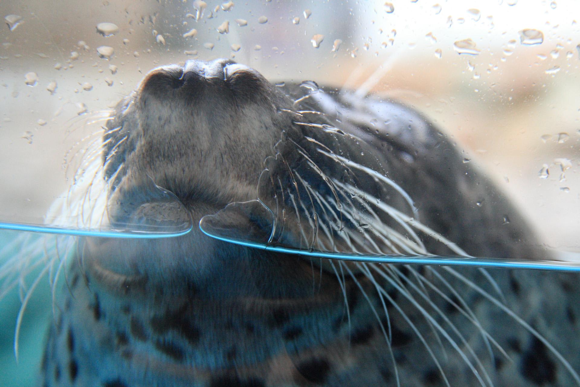 京都水族館 Yasu Blog