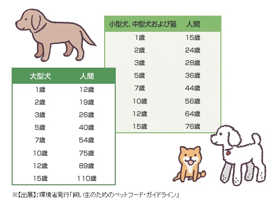犬の老化サイン らいちゃんの家庭菜園日記