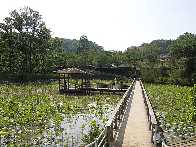 和歌山県植物公園 緑化センター 16 5 14 ふたりの山歩記録