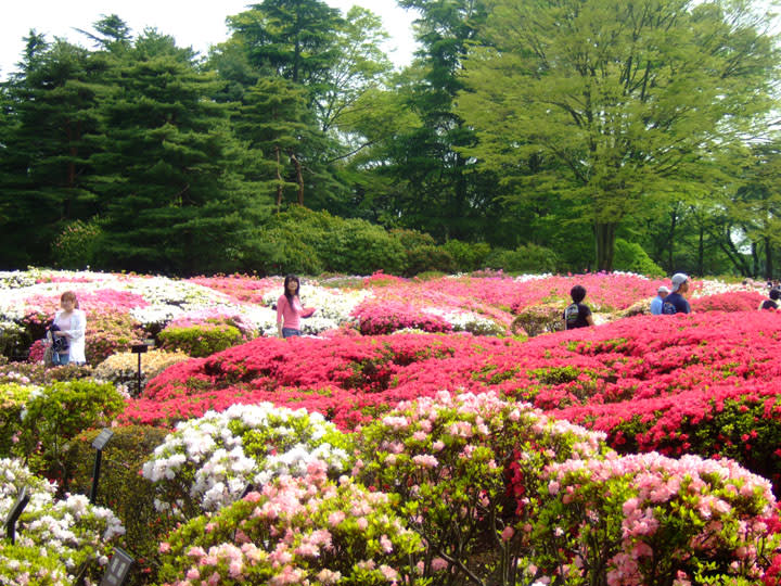 神代植物公園