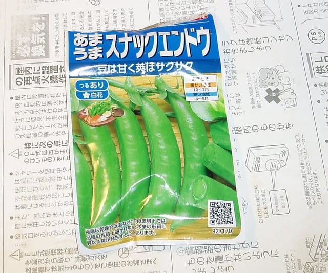 冬越し野菜の種 山畑で野菜作り 冬越し野菜の種 山畑で野菜作り