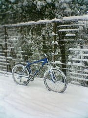 雪中ライド 多摩湖自転車道