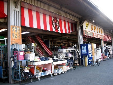 ガラクタ屋さんで鉢カバー 苔玉ごろごろ だから苔想 道草めも ガラクタ屋さんで鉢カバー 苔玉ごろごろ だから苔想 道草めも