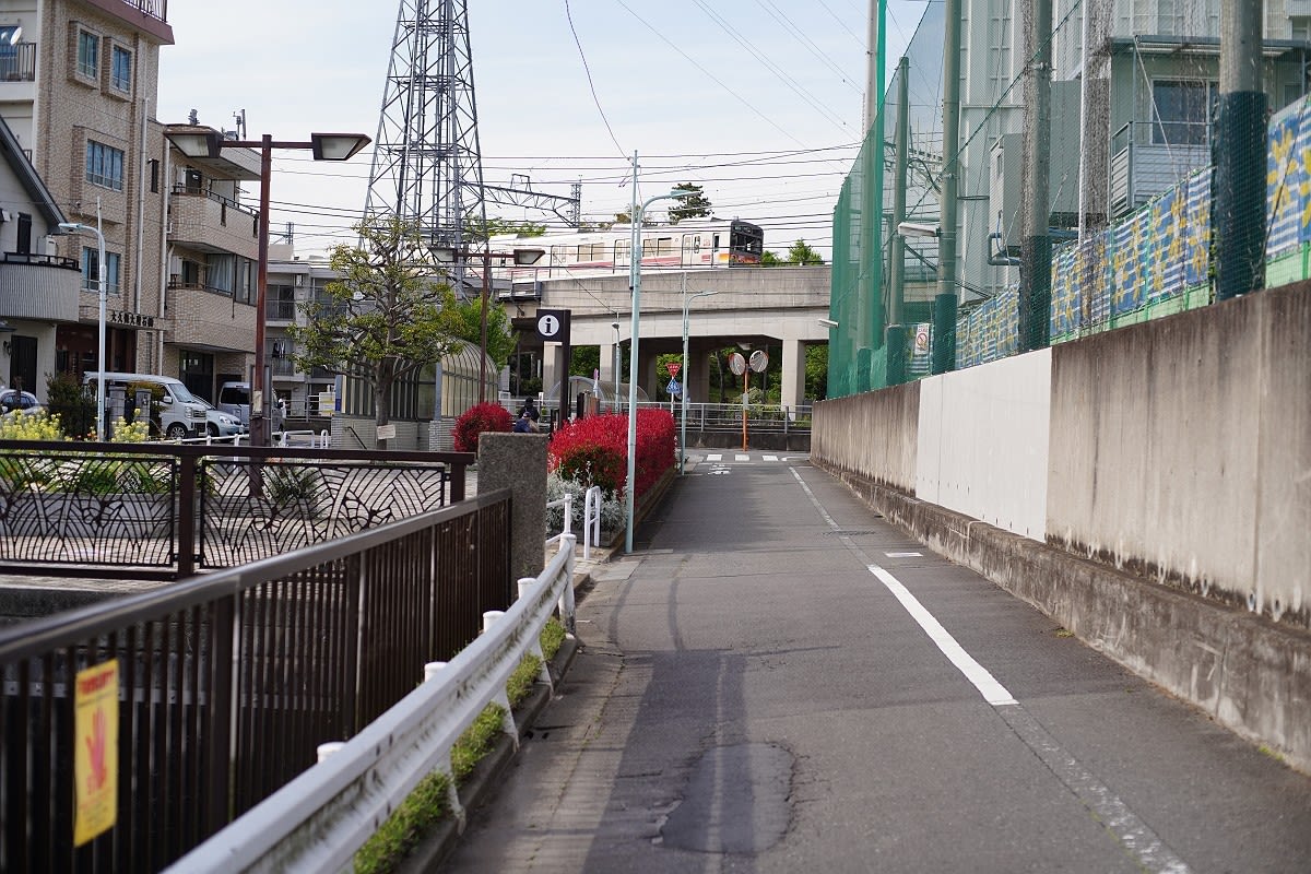 呑川緑道 その５ 大田区に入る Sailin Shoes