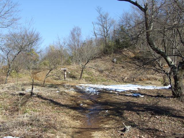 馬場