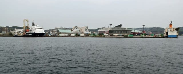 カメラ散歩 鹿児島港本港区 04 10 鹿児島 花浄土鹿児島