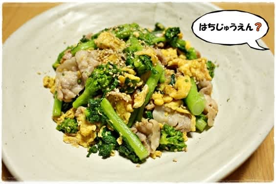 豚バラと菜の花の卵炒めと太刀魚の塩焼きで晩酌 飲み助 な二人の生活 豚バラと菜の花の卵炒めと太刀魚の塩焼きで晩酌 飲み助 な二人の生活