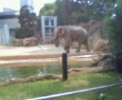 上野動物園