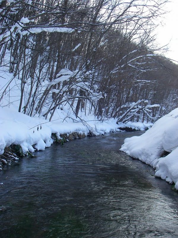 冬の渓流下流と上流 渓流in北海道