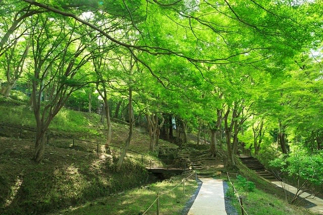 Gwの京都新緑めぐりその2 壁紙 日々駄文