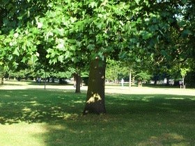 ケンジントン公園のピーター パン像 キッチンから愛をこめて ケンジントン公園のピーター パン像 キッチンから愛をこめて