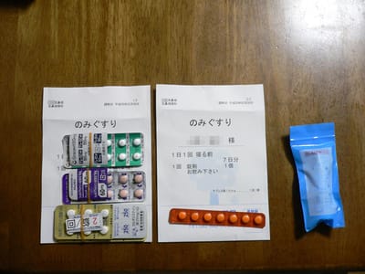 03 耳鼻科で処方された薬(左の上からグレースビット錠50mg、フェキソフェナジン塩酸塩錠60mg「明治」、カルボシステイン錠250mg「JG」、キプレス錠10mg、アズノールうがい液4%)の図