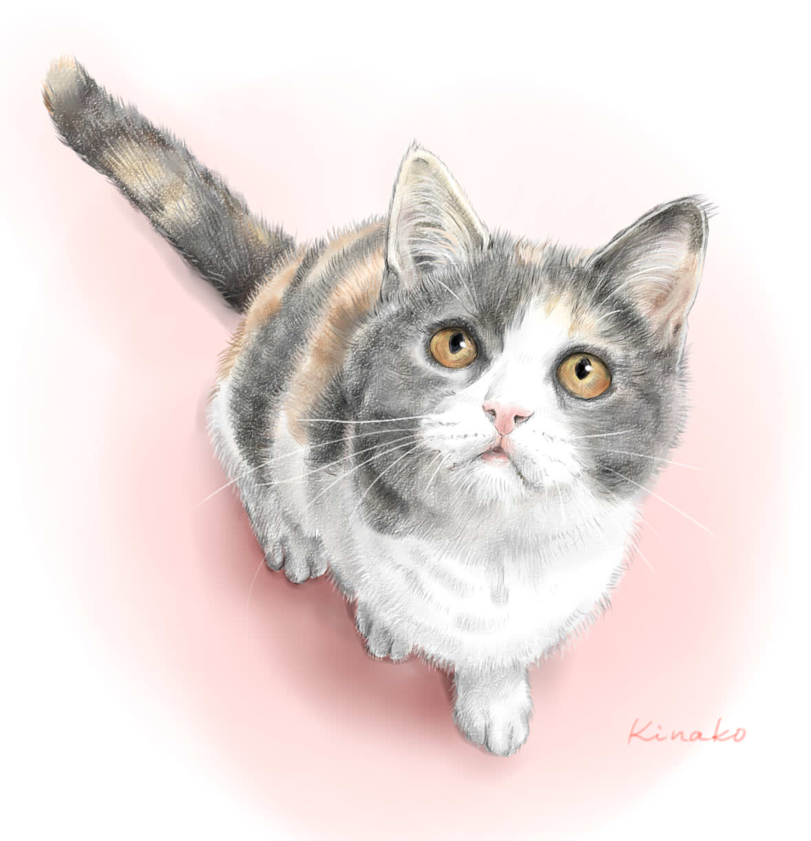 ブリティッシュショートヘアの ぎずも ちゃん 猫絵で 猫絵日記