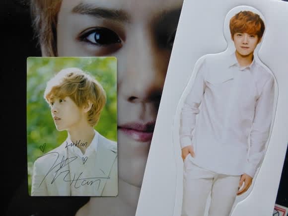 人気グループexo 香港サイン会で4万人を超えるファンが熱狂 韓流 ダイアリー ブログ 人気グループexo 香港サイン会で4万人を超えるファンが熱狂 韓流 ダイアリー ブログ