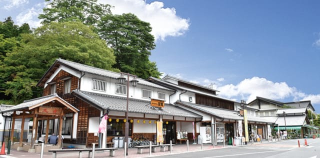 ちょっといっぷく51 トウキ 河内国喜志村覚え書き帖