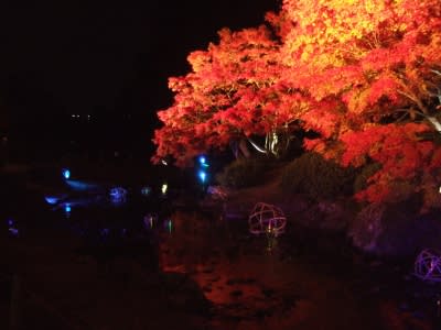 栗林公園ライトアップ 高松市
