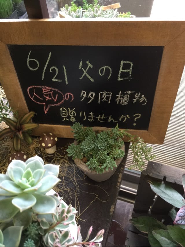 Foo Flo フーフロー