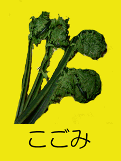いろは の のブログ記事一覧 ふと おしゃべりしたくなって いろは の のブログ記事一覧 ふと おしゃべりしたくなって